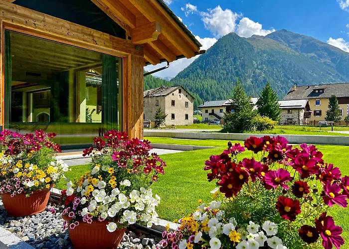 Camino Rustic Chic Hotel